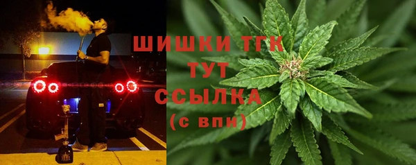 дмт Гусев