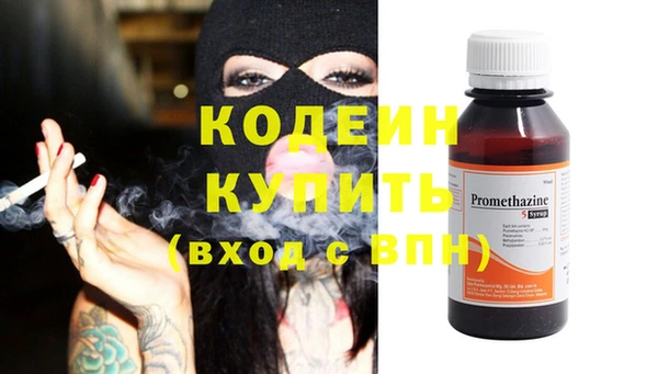 дмт Гусев