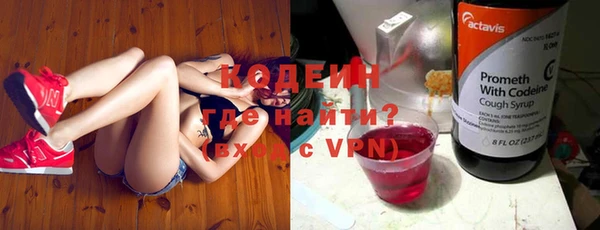 дмт Дмитриев