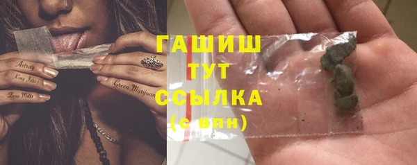 дмт Гусев