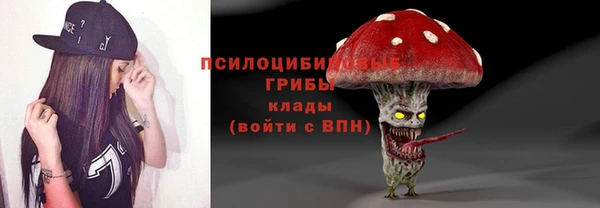 марки nbome Гусь-Хрустальный