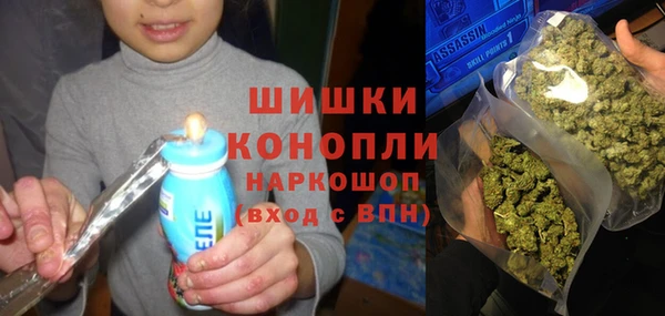 марки nbome Гусь-Хрустальный