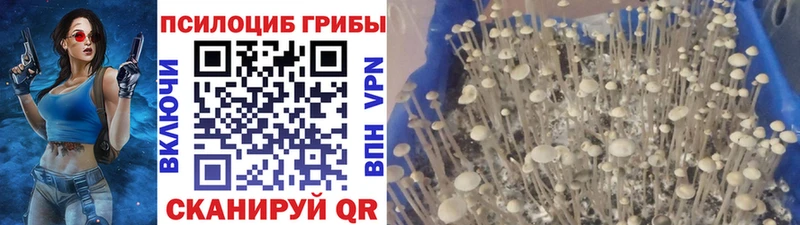Галлюциногенные грибы прущие грибы что такое Златоуст